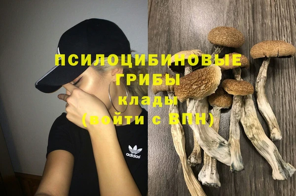 дмт Балахна