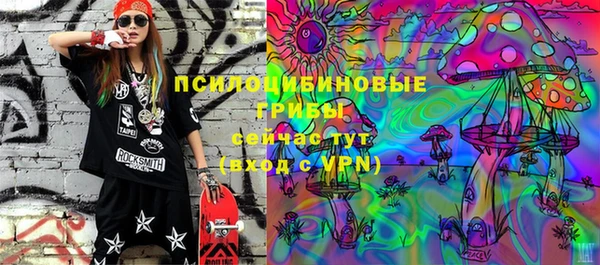 Альфа ПВП Новодвинск