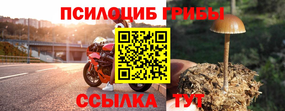 Псилоцибиновые грибы прущие грибы Тольятти