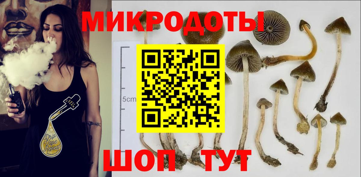 Тольятти  Псилоцибиновые грибы прущие грибы  закладка  Вход с VPN 