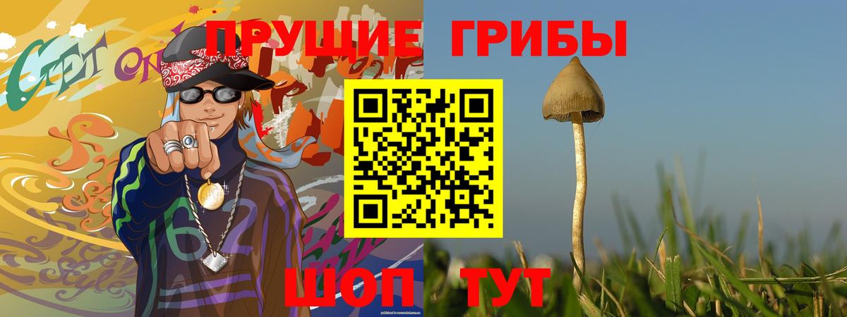 Галлюциногенные грибы MAGIC MUSHROOMS  Тольятти 