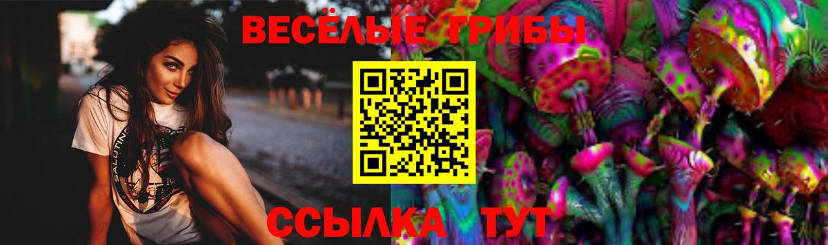 Псилоцибиновые грибы мицелий Тольятти